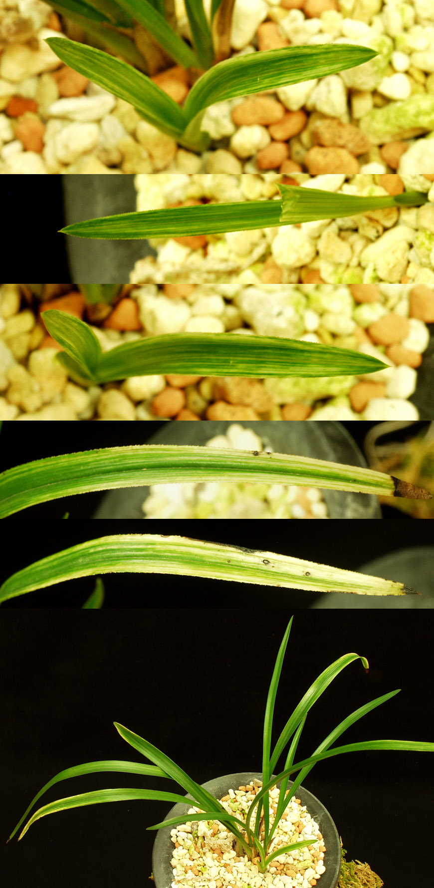 ������ ū������ �� �� �ֽ��ϴ�.