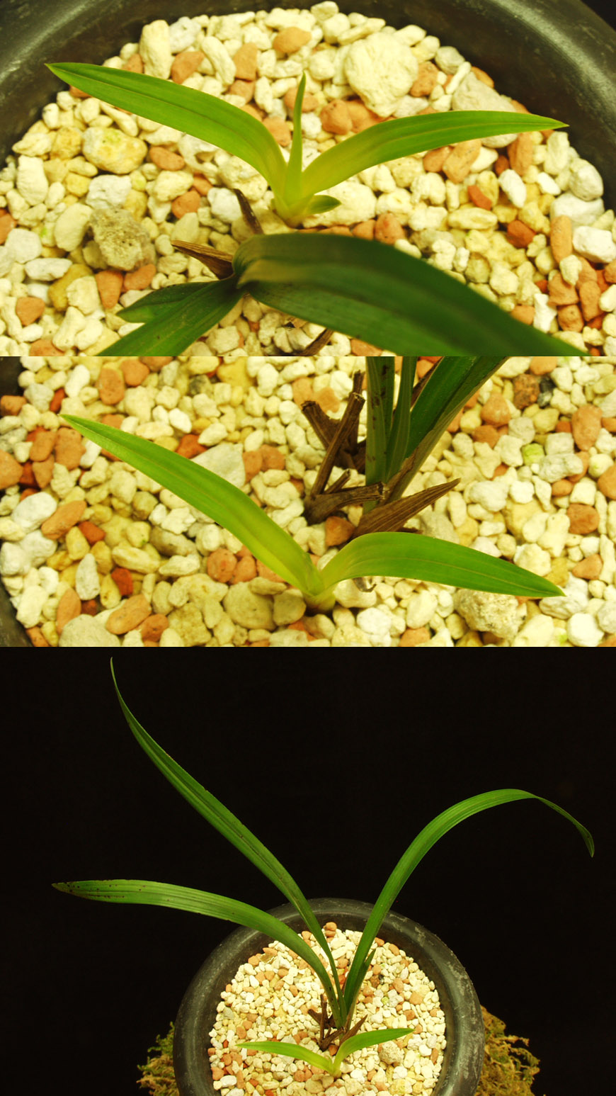 ������ ū������ �� �� �ֽ��ϴ�.