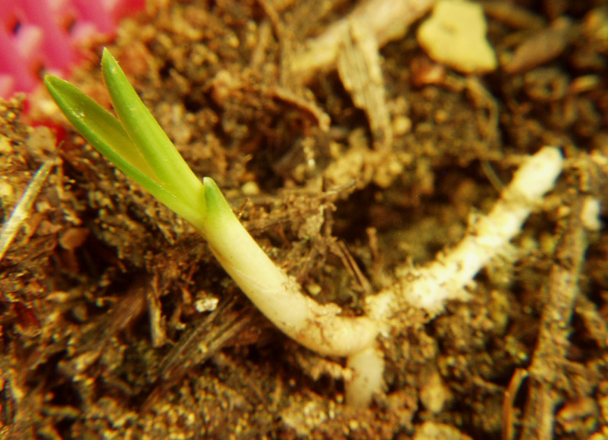 ������ ū������ �� �� �ֽ��ϴ�.