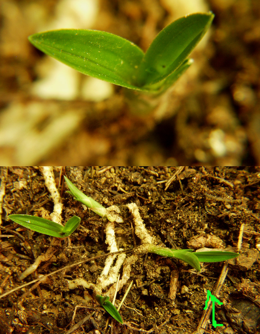 ������ ū������ �� �� �ֽ��ϴ�.