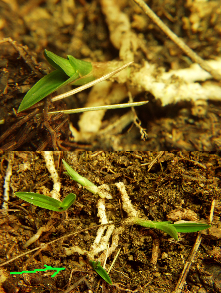 ������ ū������ �� �� �ֽ��ϴ�.