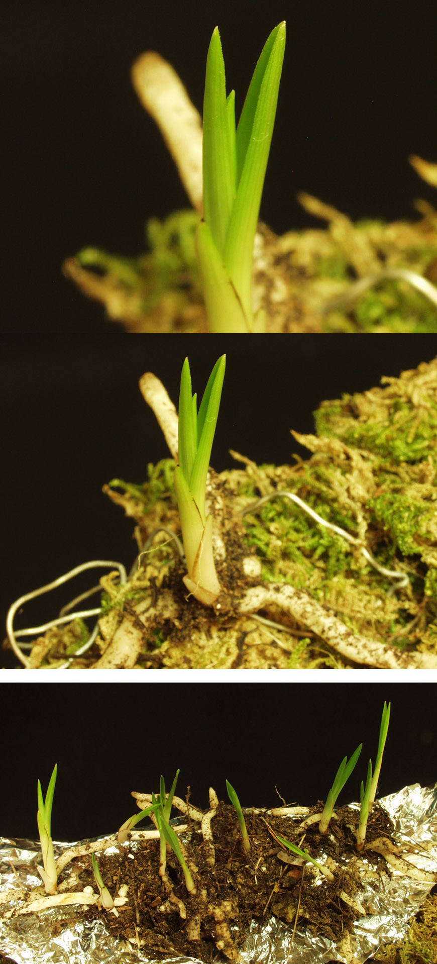 ������ ū������ �� �� �ֽ��ϴ�.