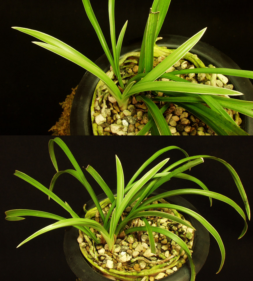 ������ ū������ �� �� �ֽ��ϴ�.