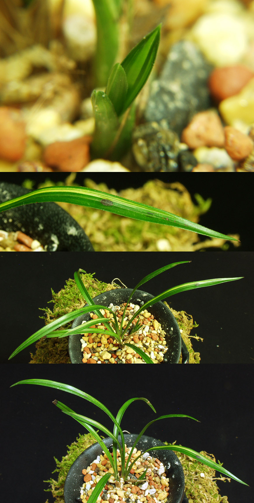 ������ ū������ �� �� �ֽ��ϴ�.