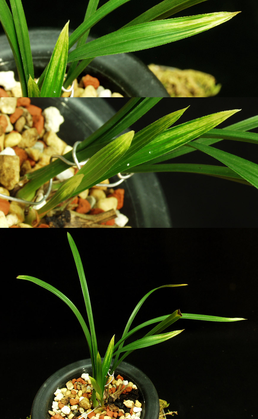 ������ ū������ �� �� �ֽ��ϴ�.