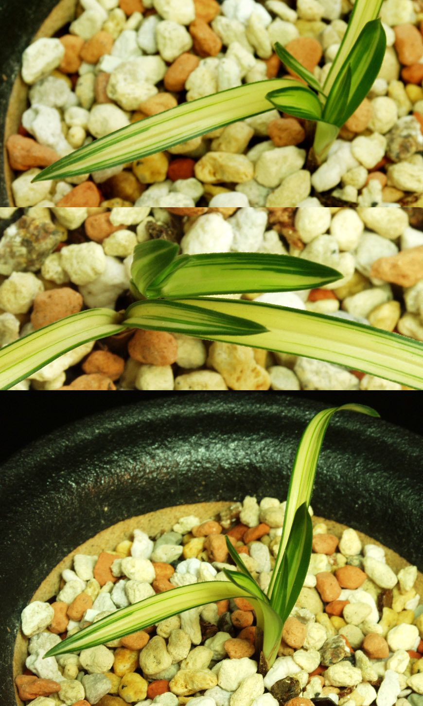 ������ ū������ �� �� �ֽ��ϴ�.