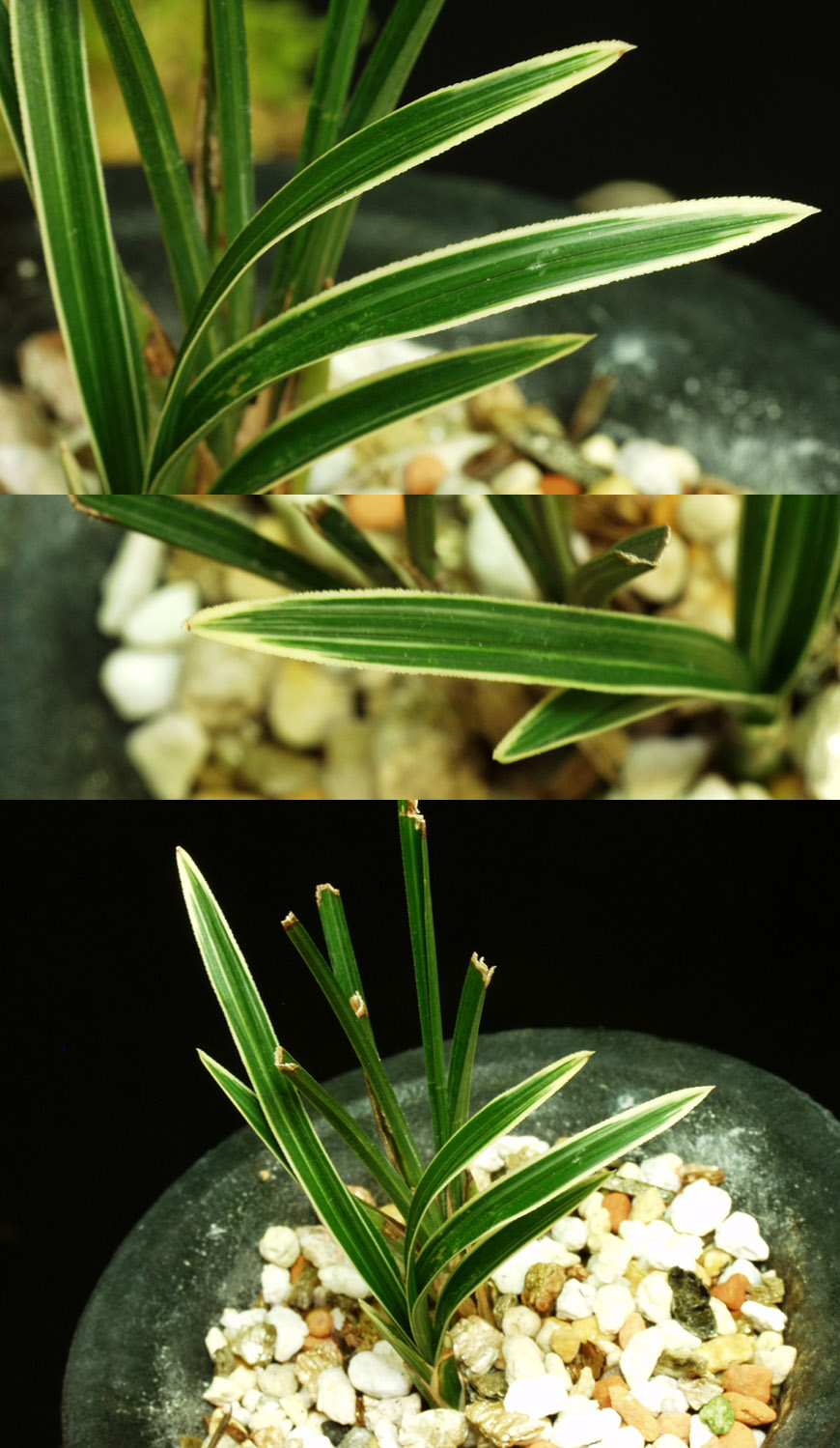 ������ ū������ �� �� �ֽ��ϴ�.