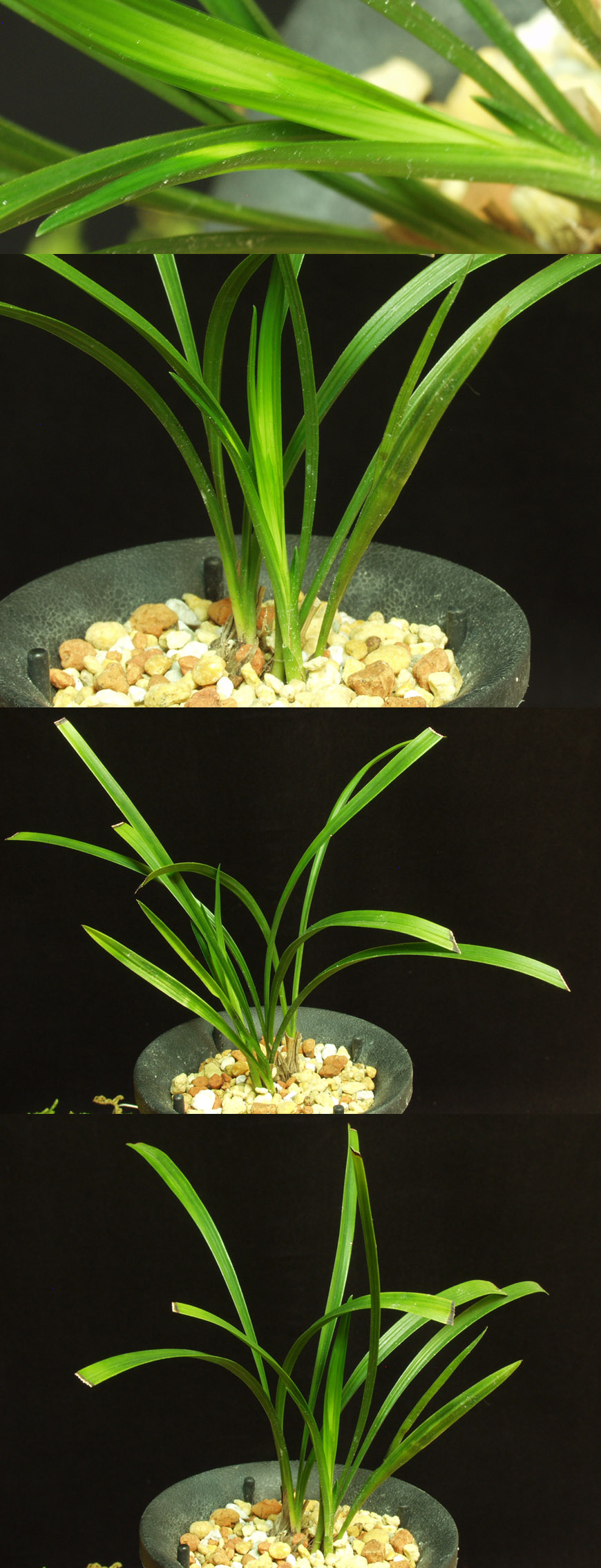 ������ ū������ �� �� �ֽ��ϴ�.