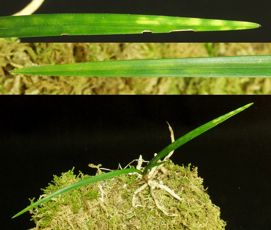 ������ ū������ �� �� �ֽ��ϴ�.