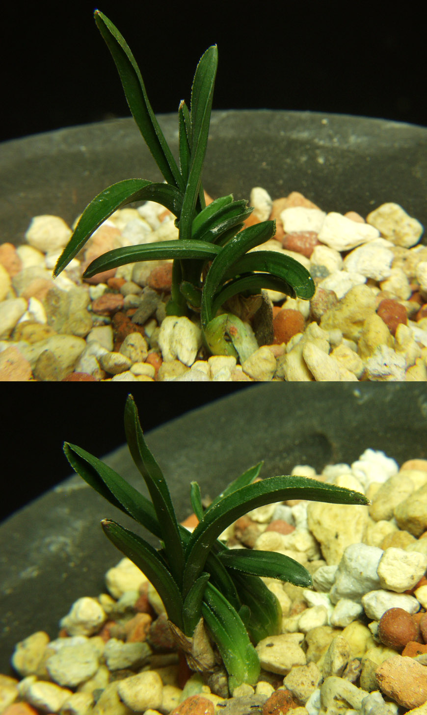 ������ ū������ �� �� �ֽ��ϴ�.