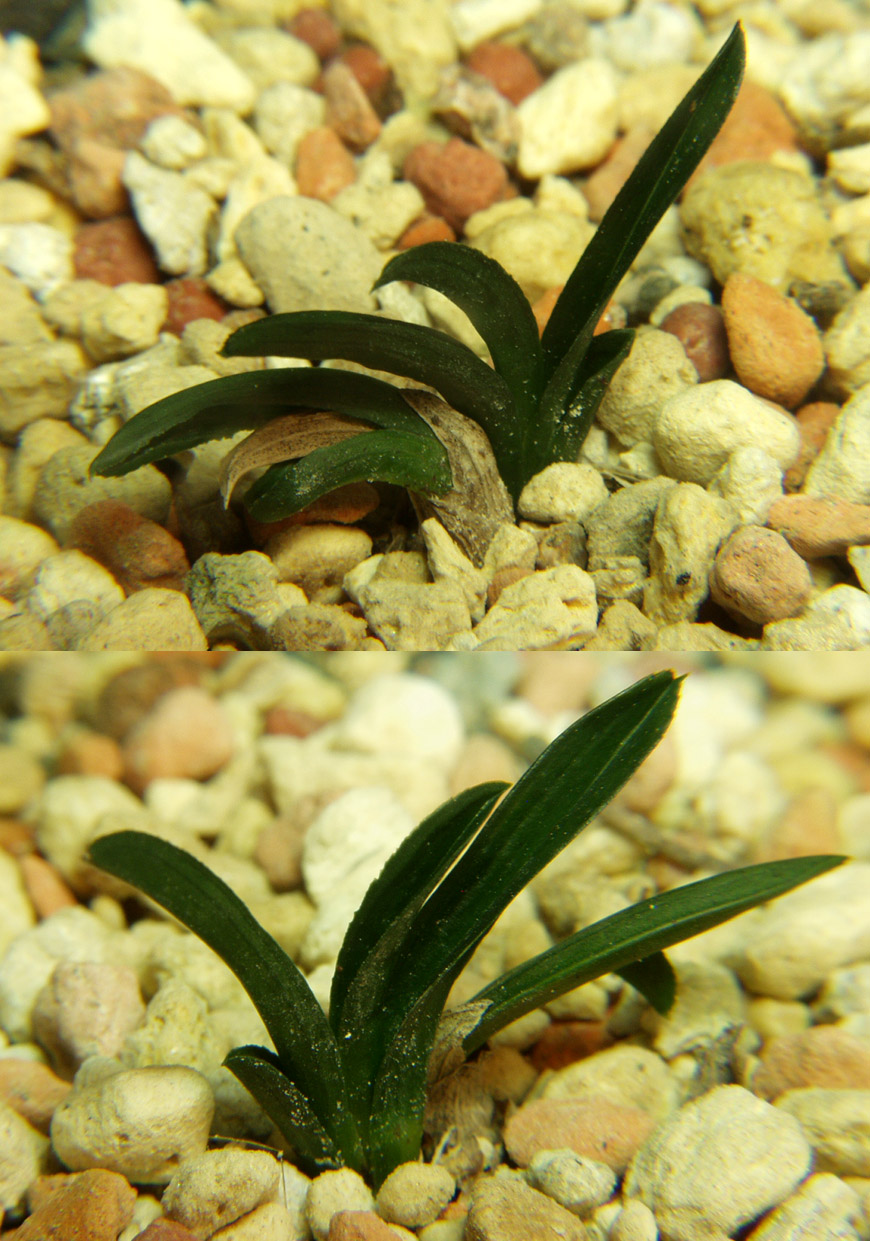 ������ ū������ �� �� �ֽ��ϴ�.