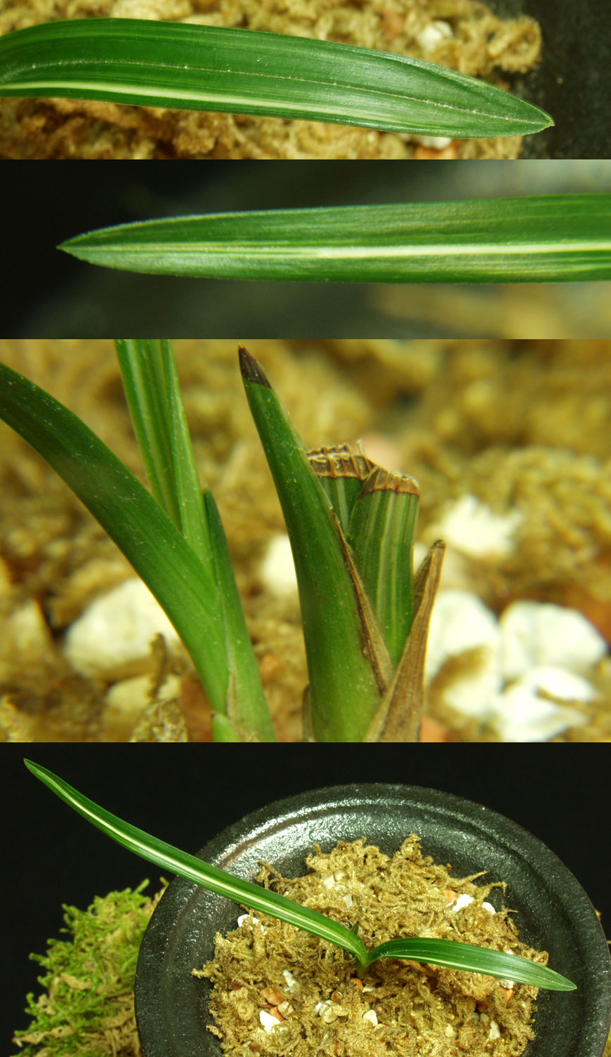 ������ ū������ �� �� �ֽ��ϴ�.