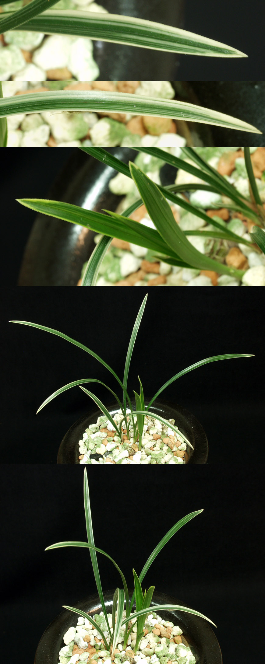 ������ ū������ �� �� �ֽ��ϴ�.