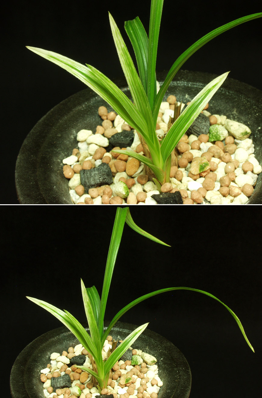 ������ ū������ �� �� �ֽ��ϴ�.