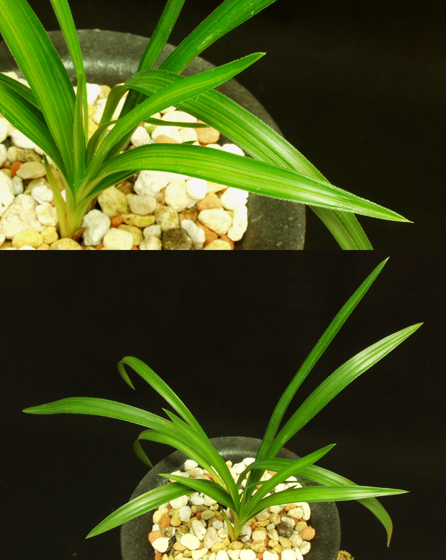 ������ ū������ �� �� �ֽ��ϴ�.