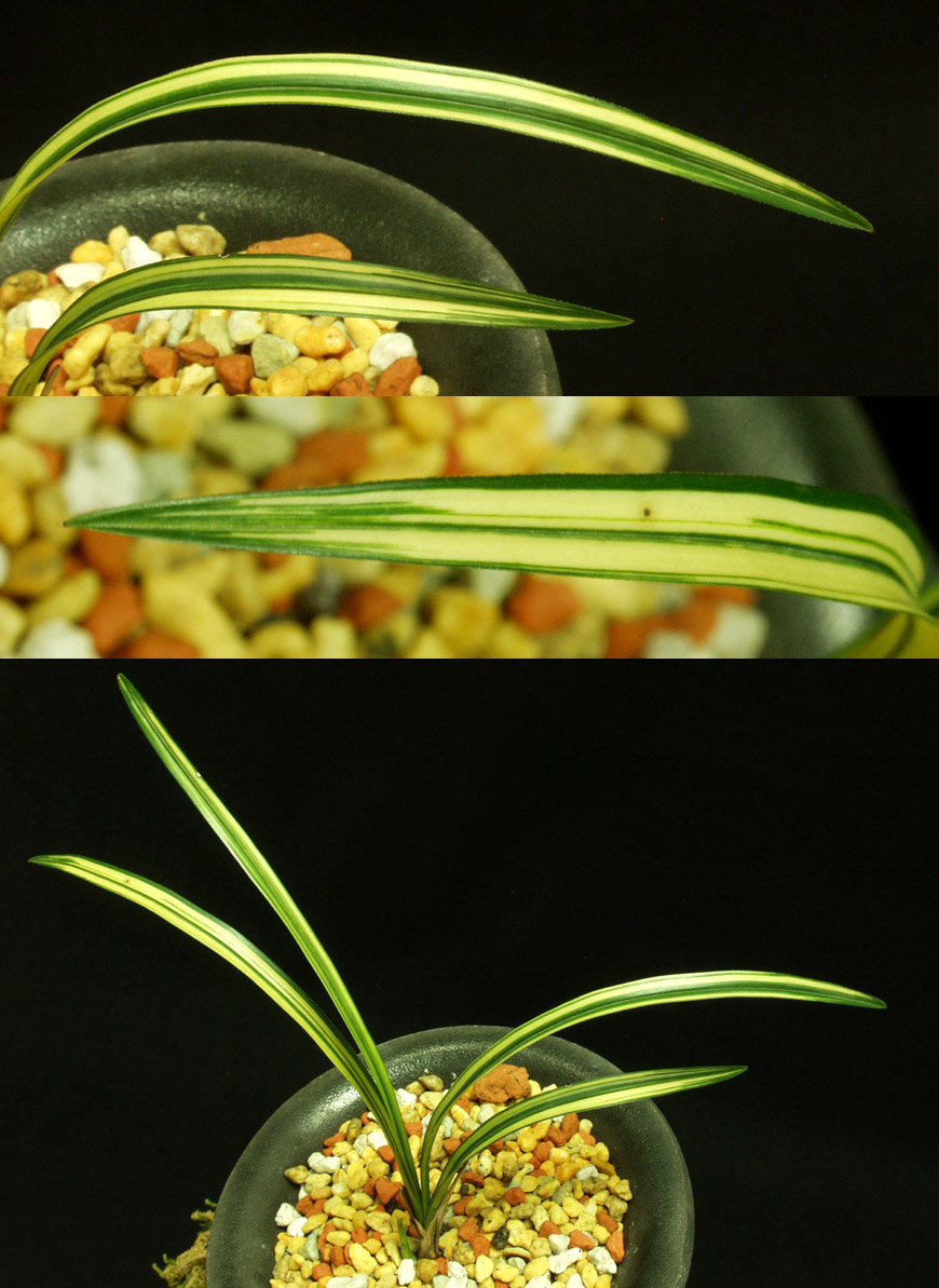 ������ ū������ �� �� �ֽ��ϴ�.