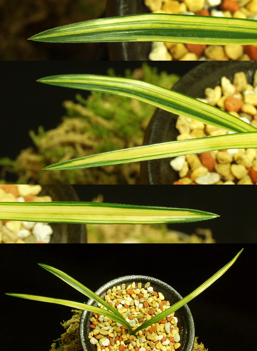 ������ ū������ �� �� �ֽ��ϴ�.