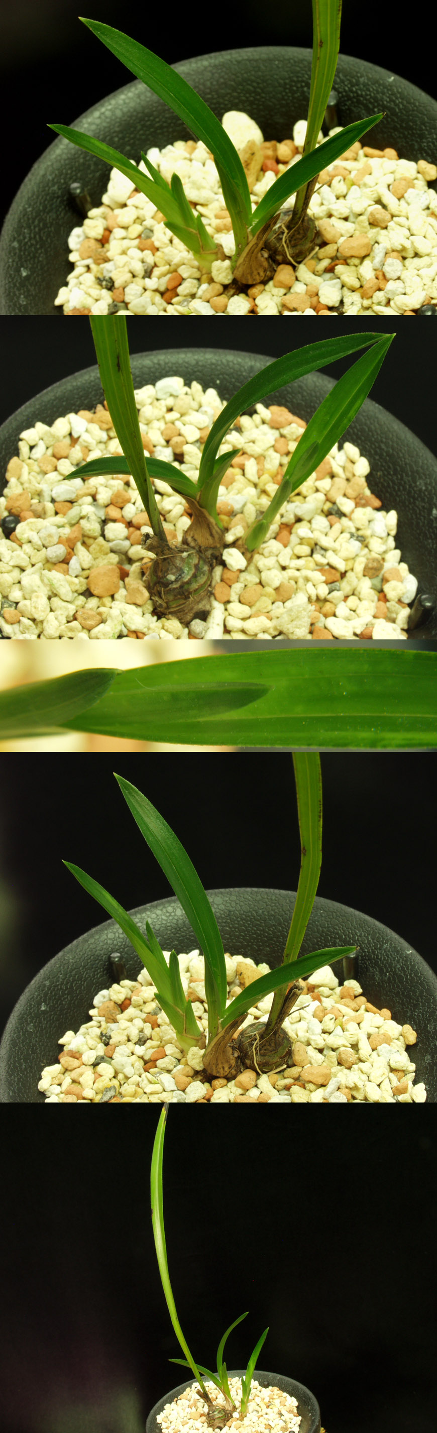 ������ ū������ �� �� �ֽ��ϴ�.