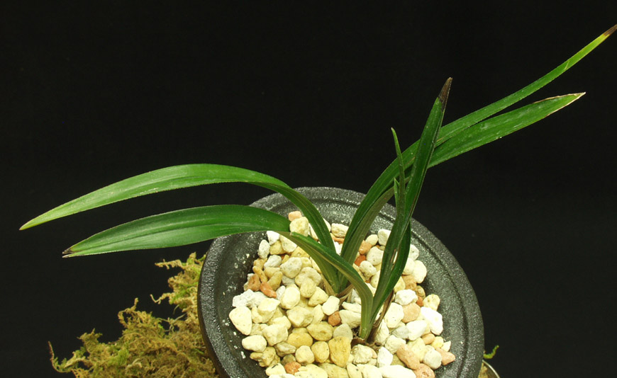 ������ ū������ �� �� �ֽ��ϴ�.