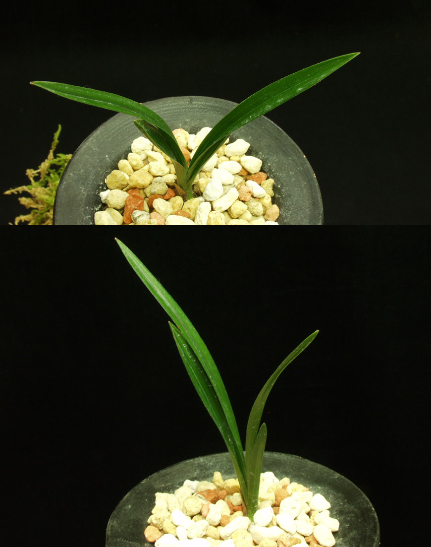 ������ ū������ �� �� �ֽ��ϴ�.