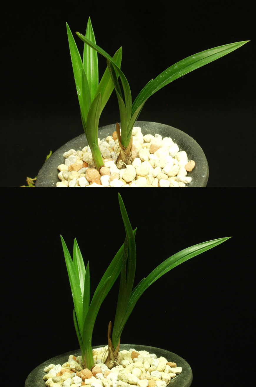 ������ ū������ �� �� �ֽ��ϴ�.