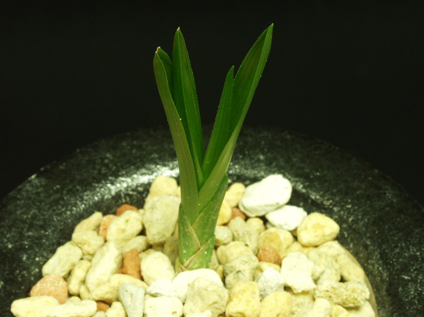 ������ ū������ �� �� �ֽ��ϴ�.