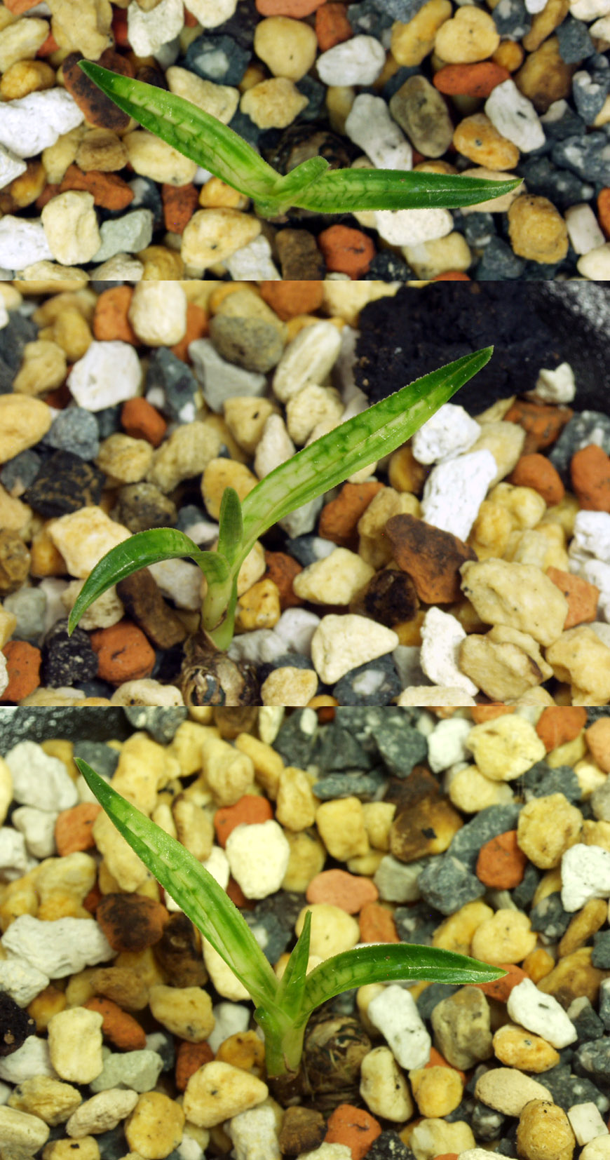 ������ ū������ �� �� �ֽ��ϴ�.