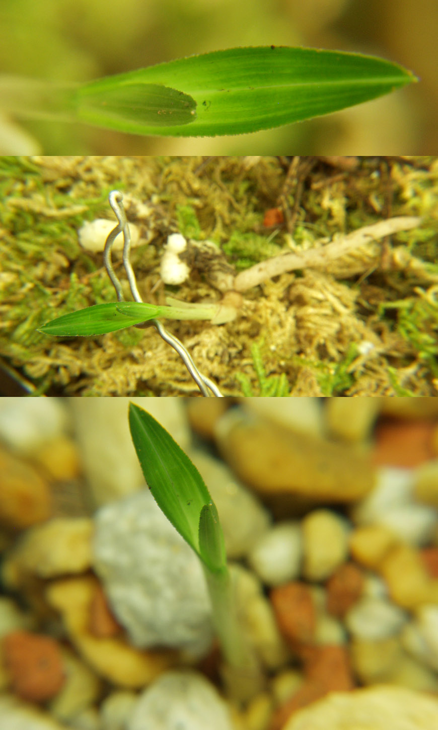 ������ ū������ �� �� �ֽ��ϴ�.