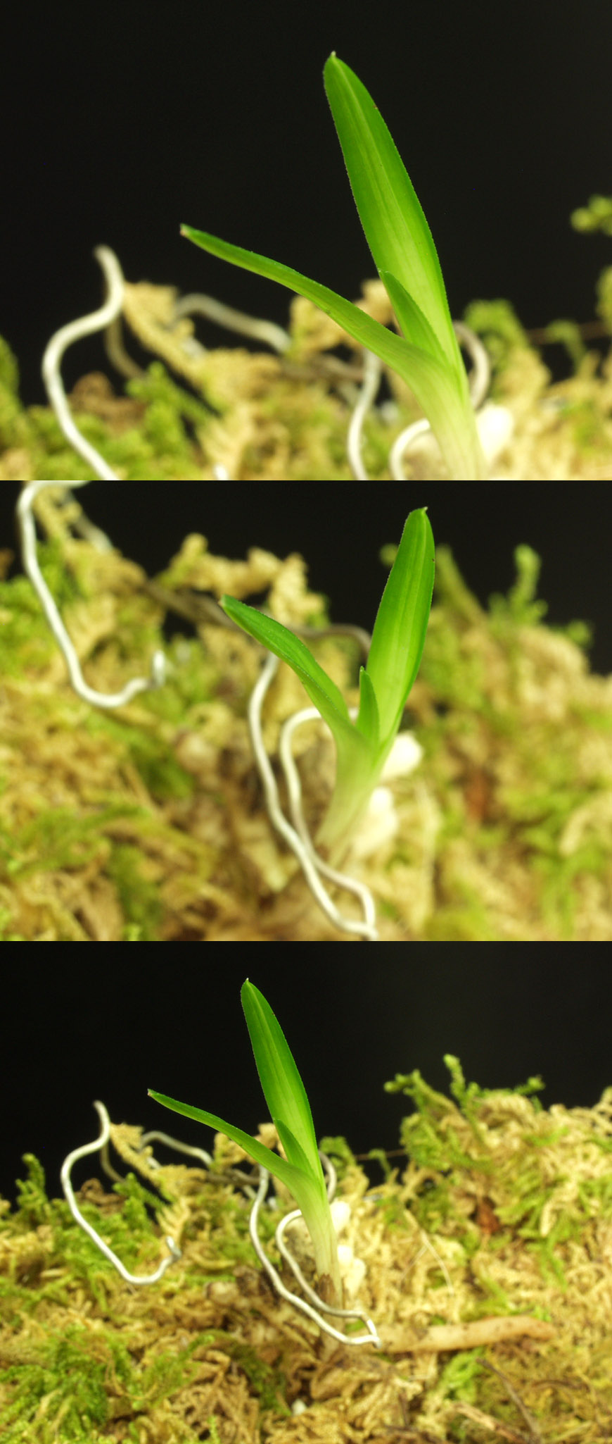 ������ ū������ �� �� �ֽ��ϴ�.