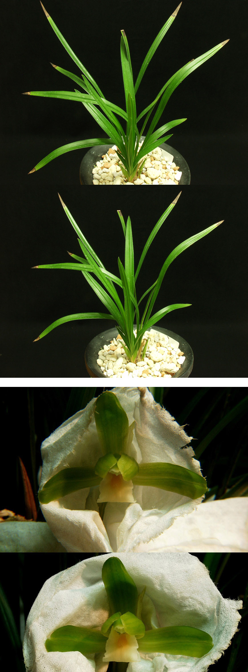 ������ ū������ �� �� �ֽ��ϴ�.