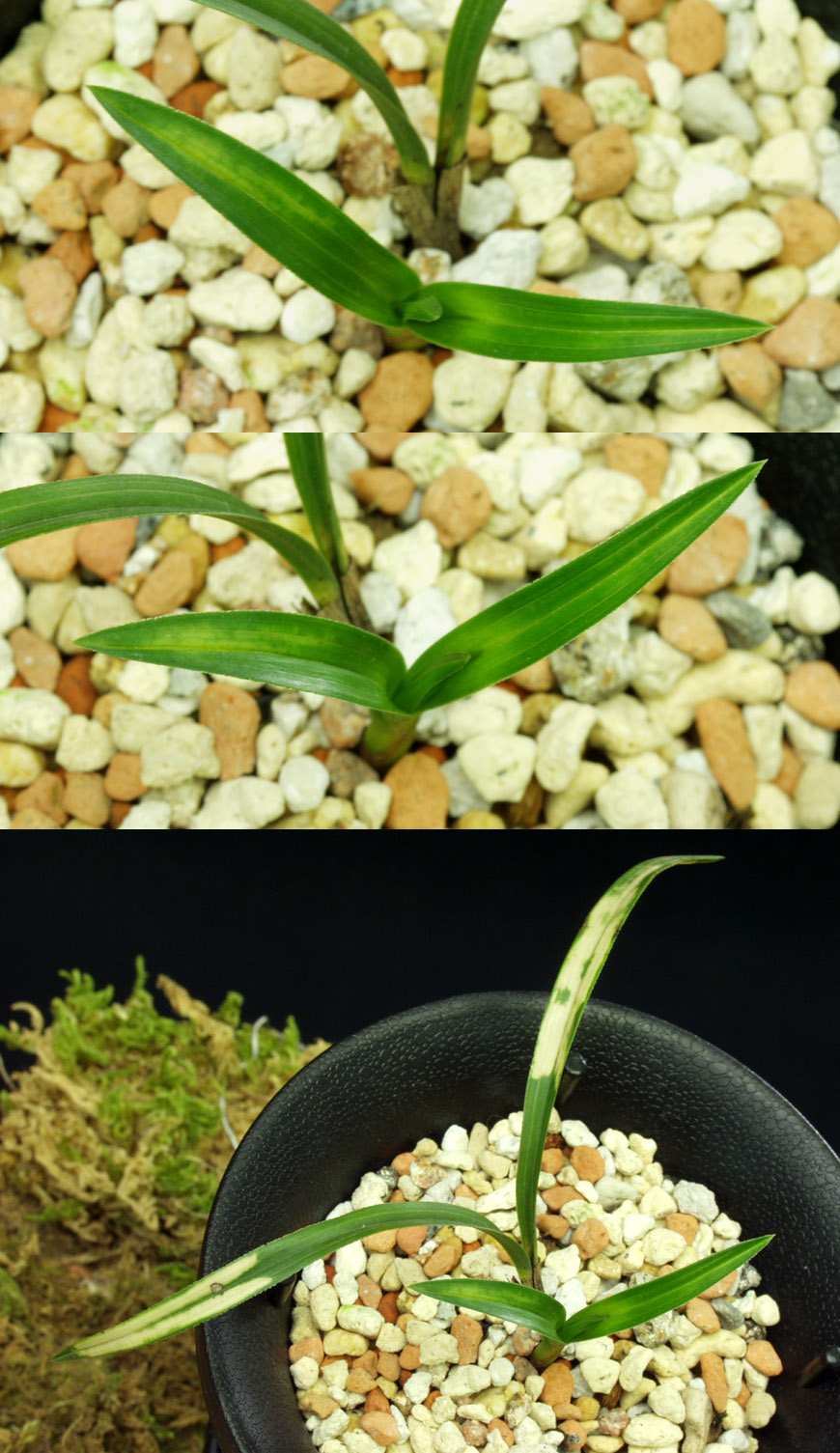 ������ ū������ �� �� �ֽ��ϴ�.