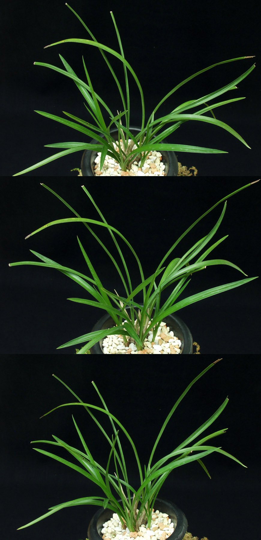 ������ ū������ �� �� �ֽ��ϴ�.