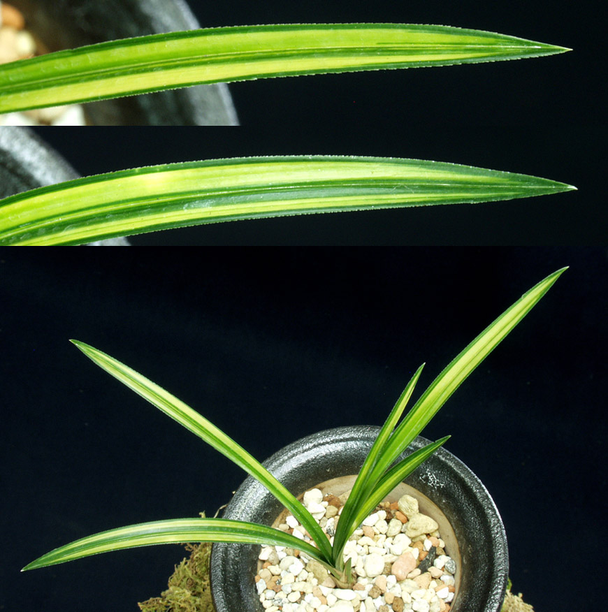 ������ ū������ �� �� �ֽ��ϴ�.