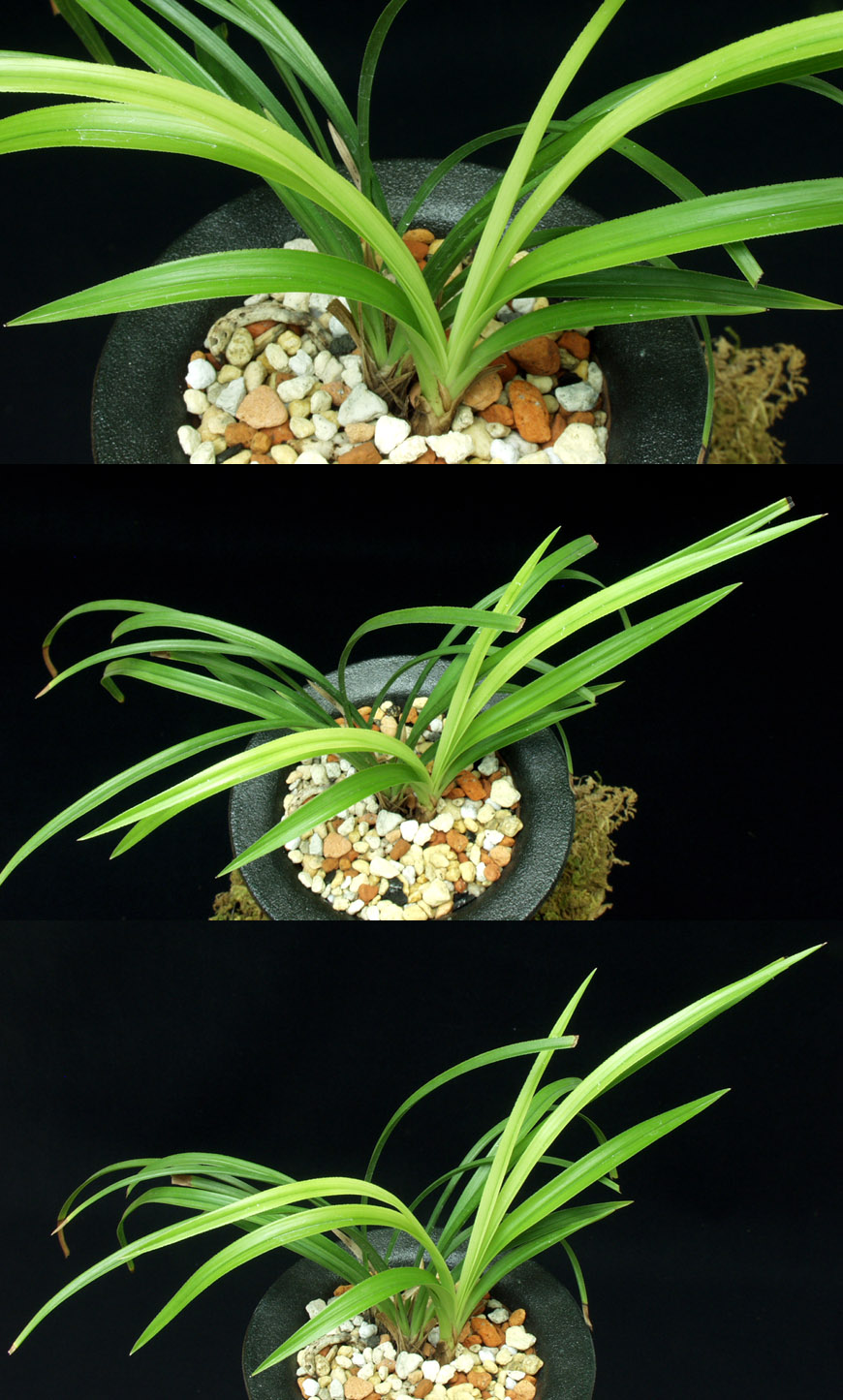 ������ ū������ �� �� �ֽ��ϴ�.