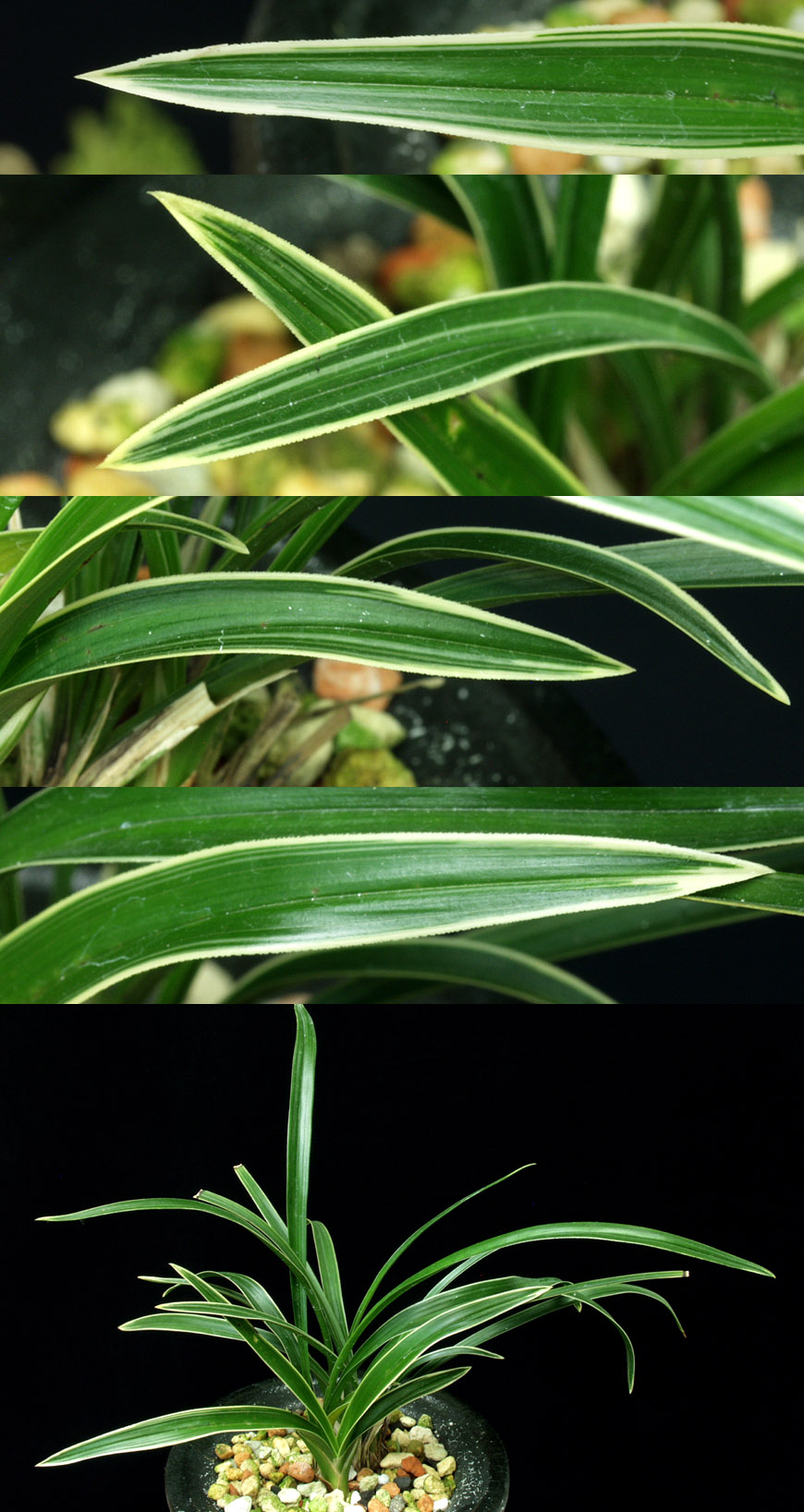 ������ ū������ �� �� �ֽ��ϴ�.