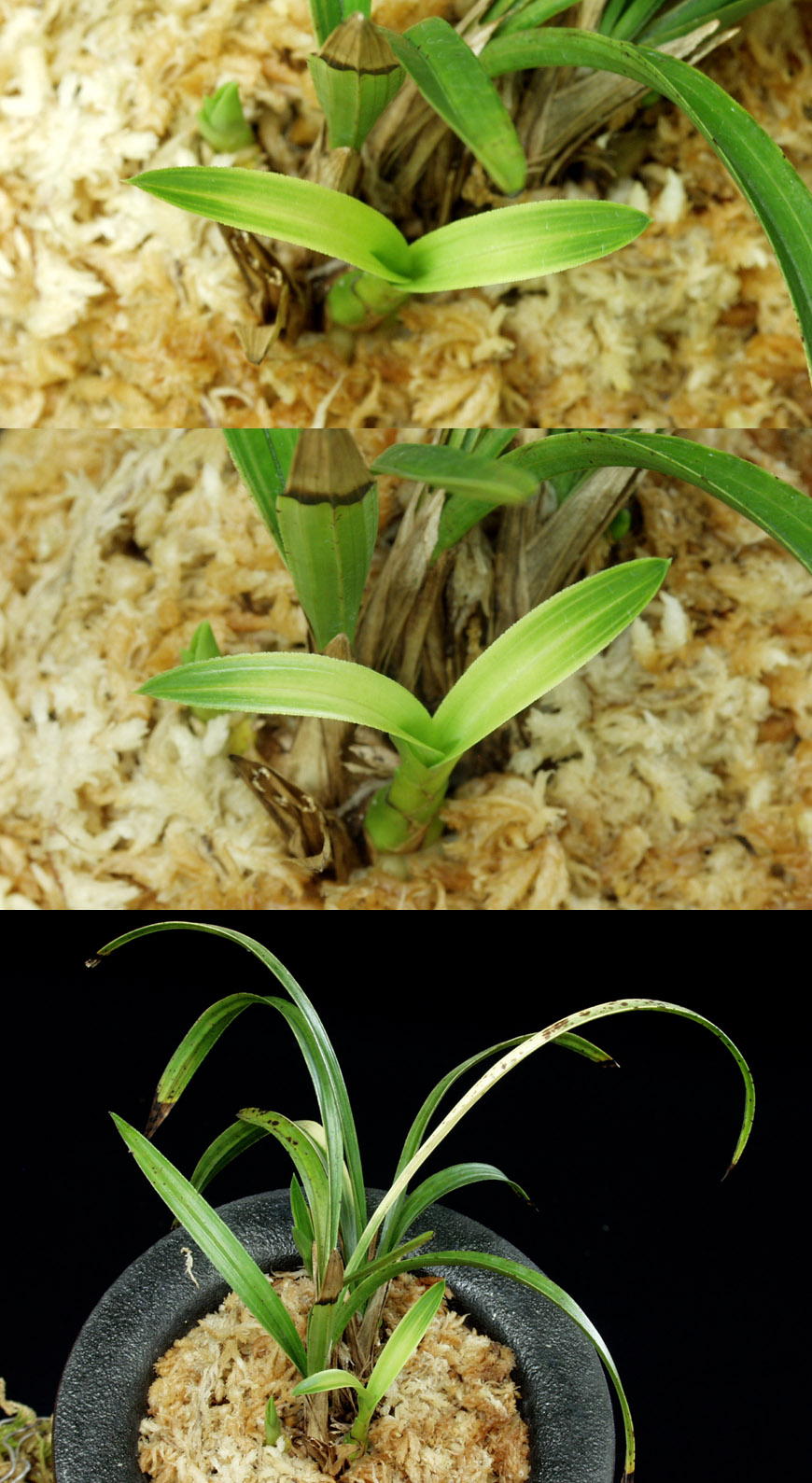 ������ ū������ �� �� �ֽ��ϴ�.