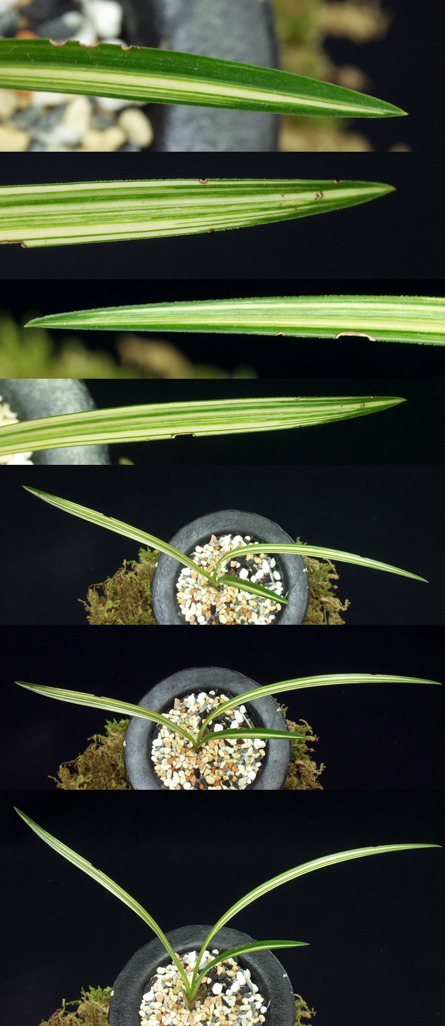 ������ ū������ �� �� �ֽ��ϴ�.