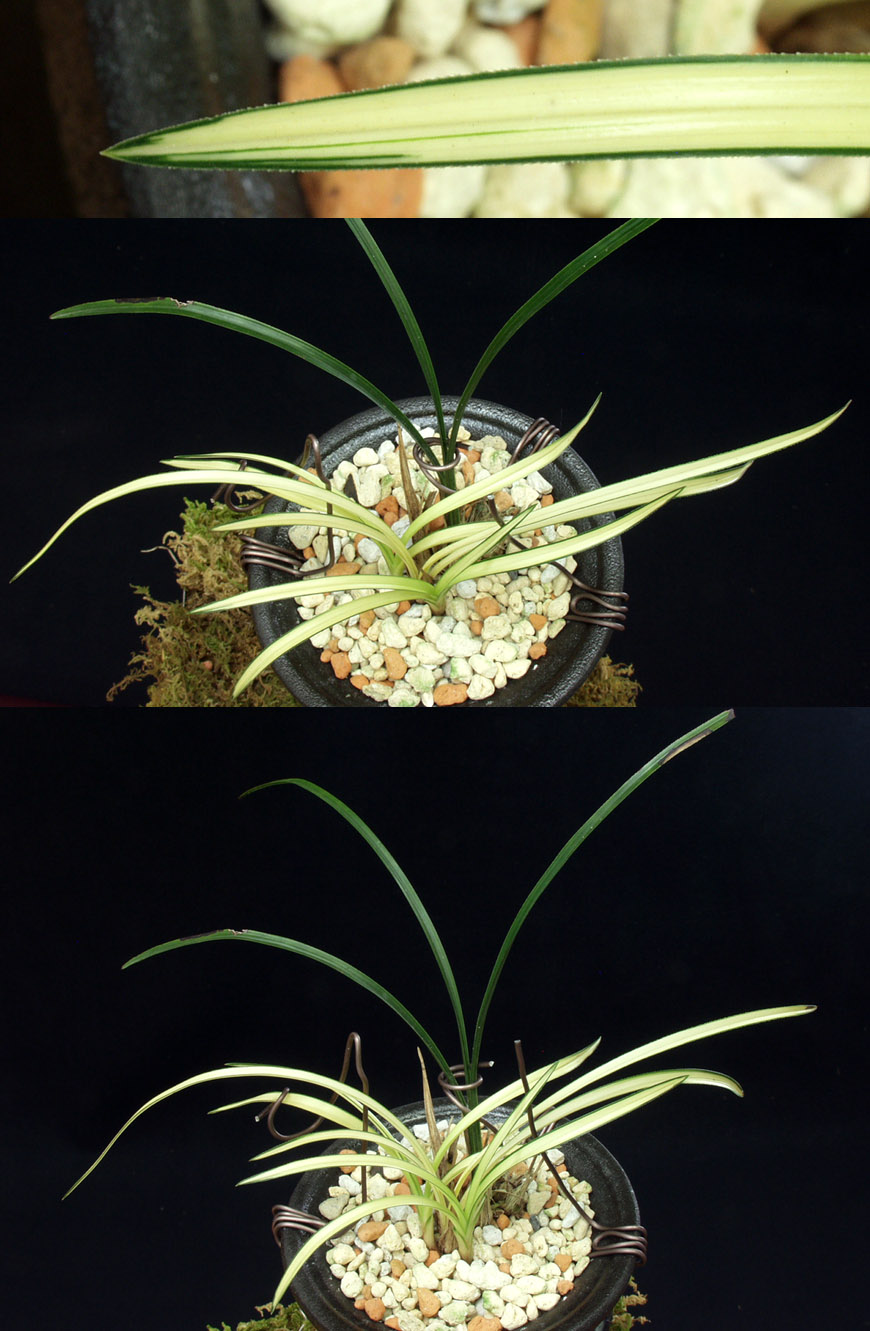 ������ ū������ �� �� �ֽ��ϴ�.