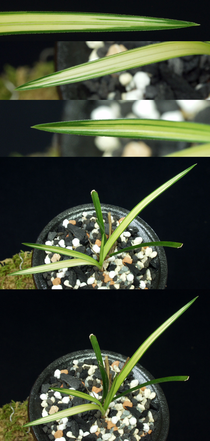 ������ ū������ �� �� �ֽ��ϴ�.