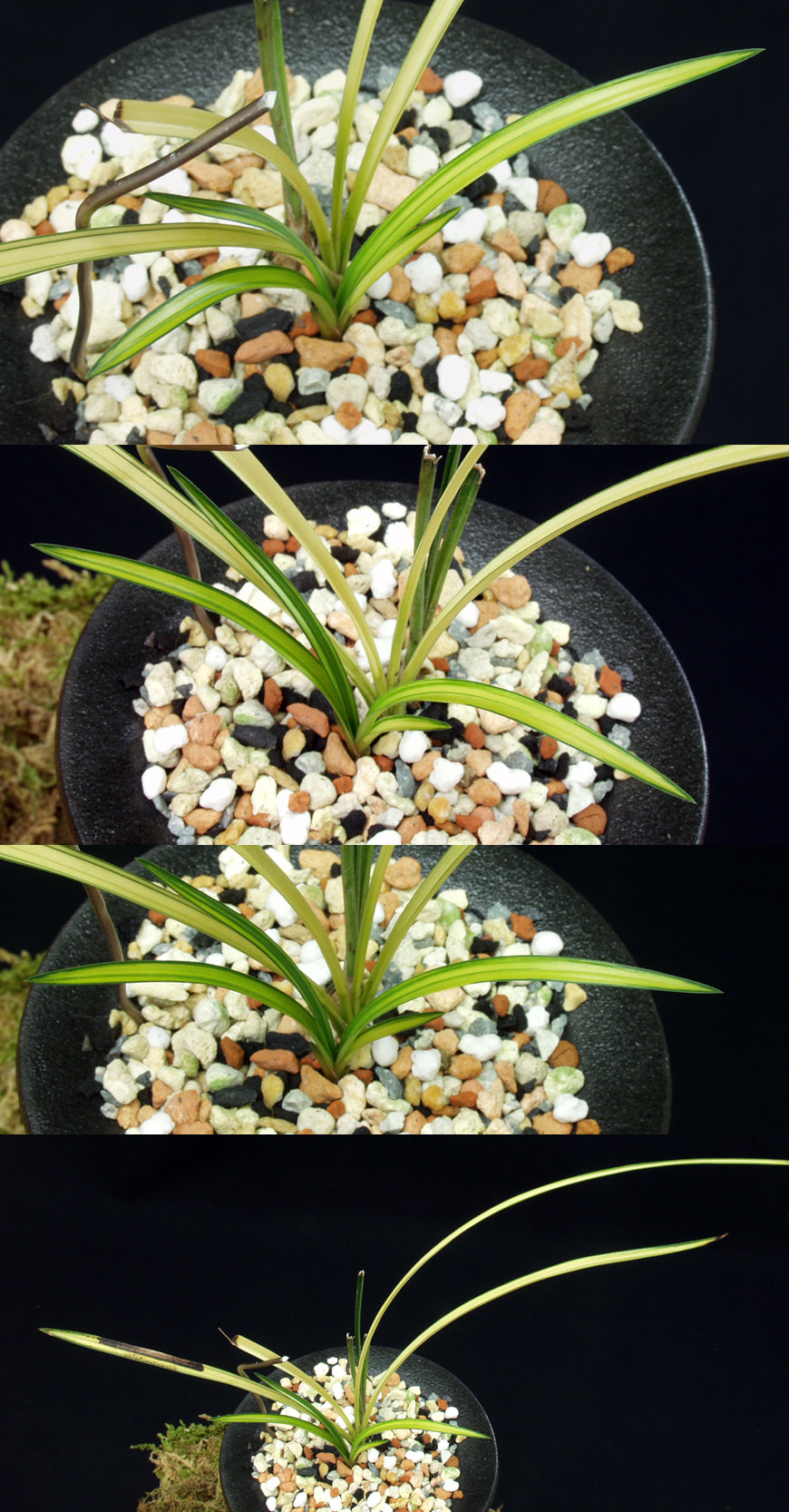 ������ ū������ �� �� �ֽ��ϴ�.