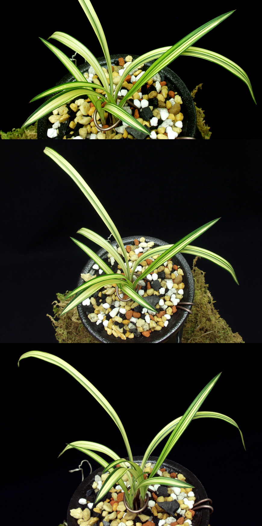 ������ ū������ �� �� �ֽ��ϴ�.