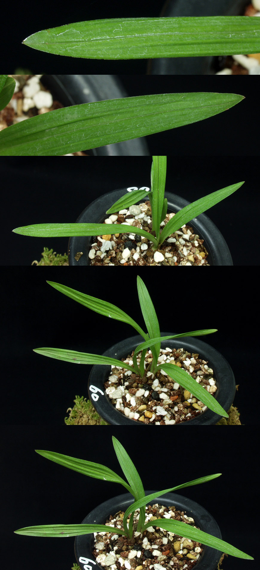 ������ ū������ �� �� �ֽ��ϴ�.