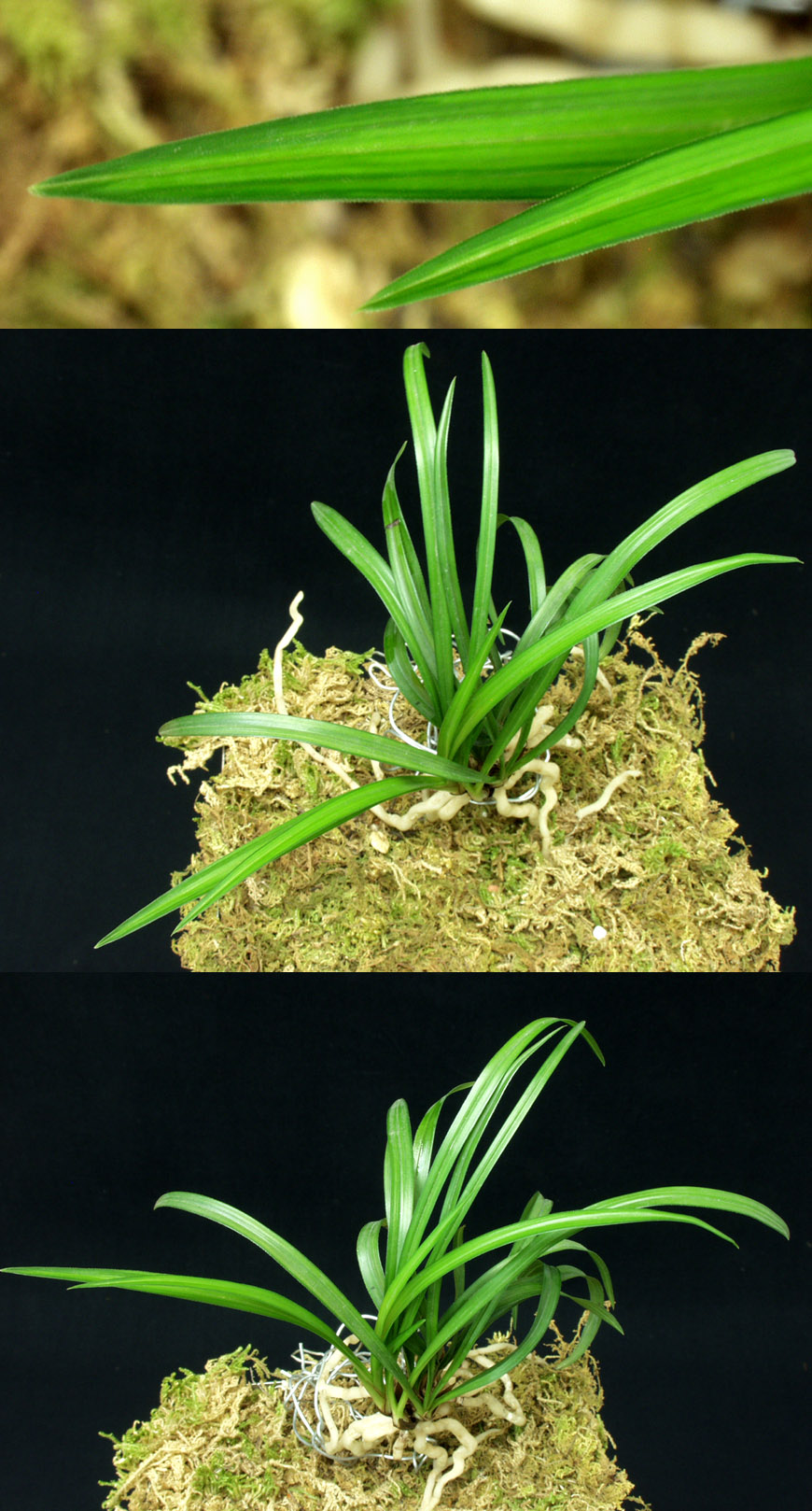 ������ ū������ �� �� �ֽ��ϴ�.