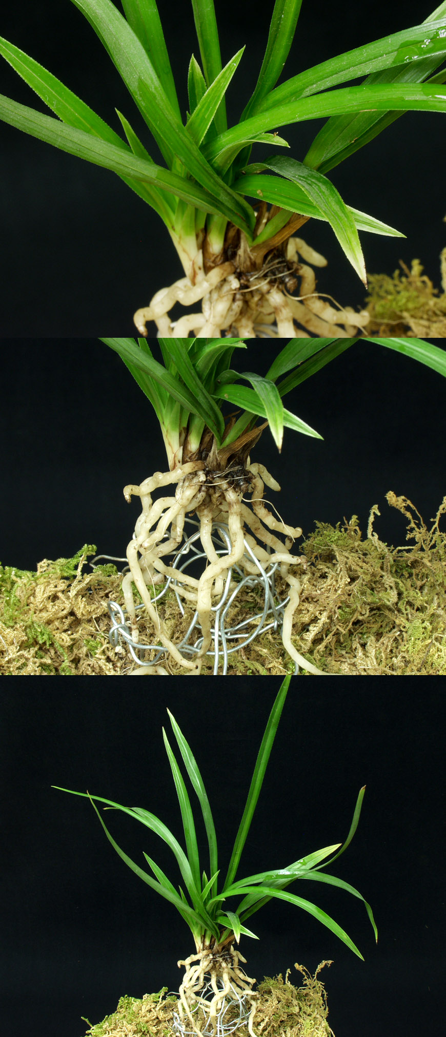 ������ ū������ �� �� �ֽ��ϴ�.