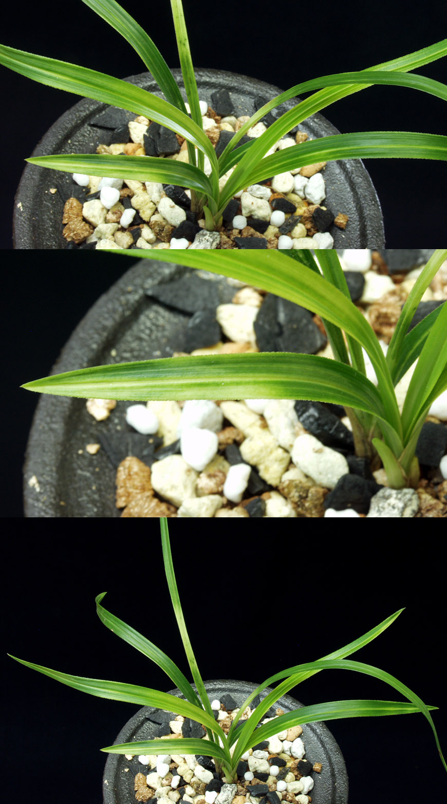 ������ ū������ �� �� �ֽ��ϴ�.