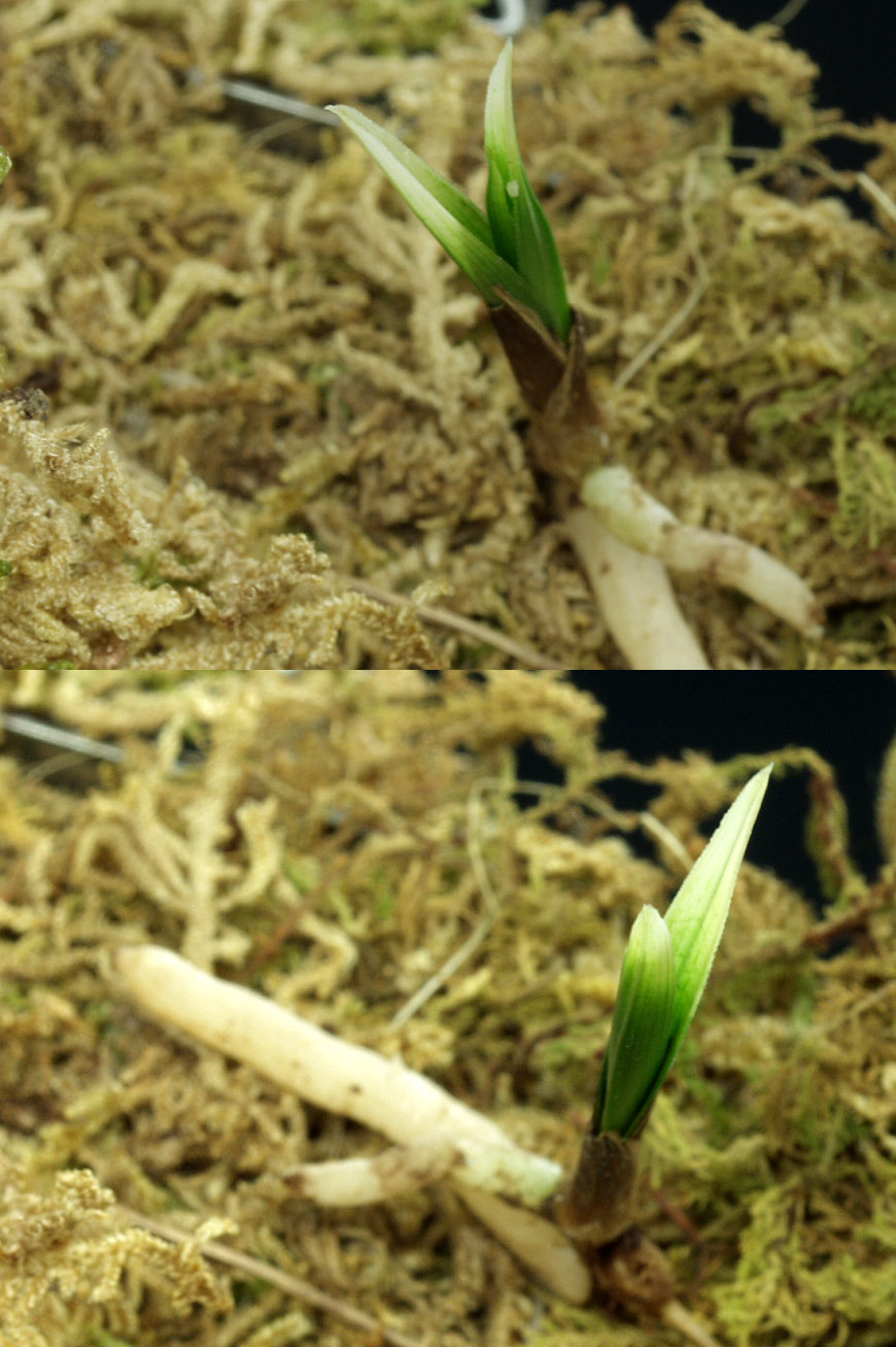 ������ ū������ �� �� �ֽ��ϴ�.