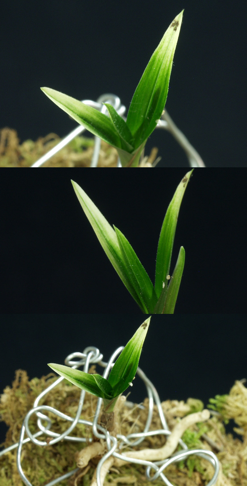 ������ ū������ �� �� �ֽ��ϴ�.