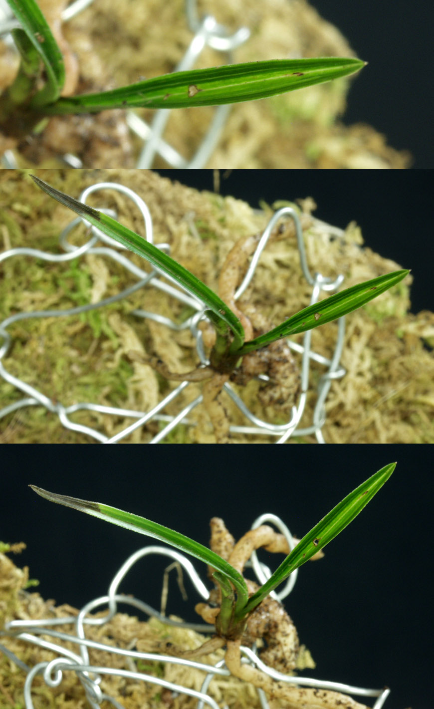 ������ ū������ �� �� �ֽ��ϴ�.