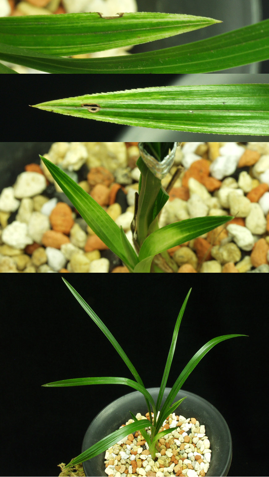 ������ ū������ �� �� �ֽ��ϴ�.