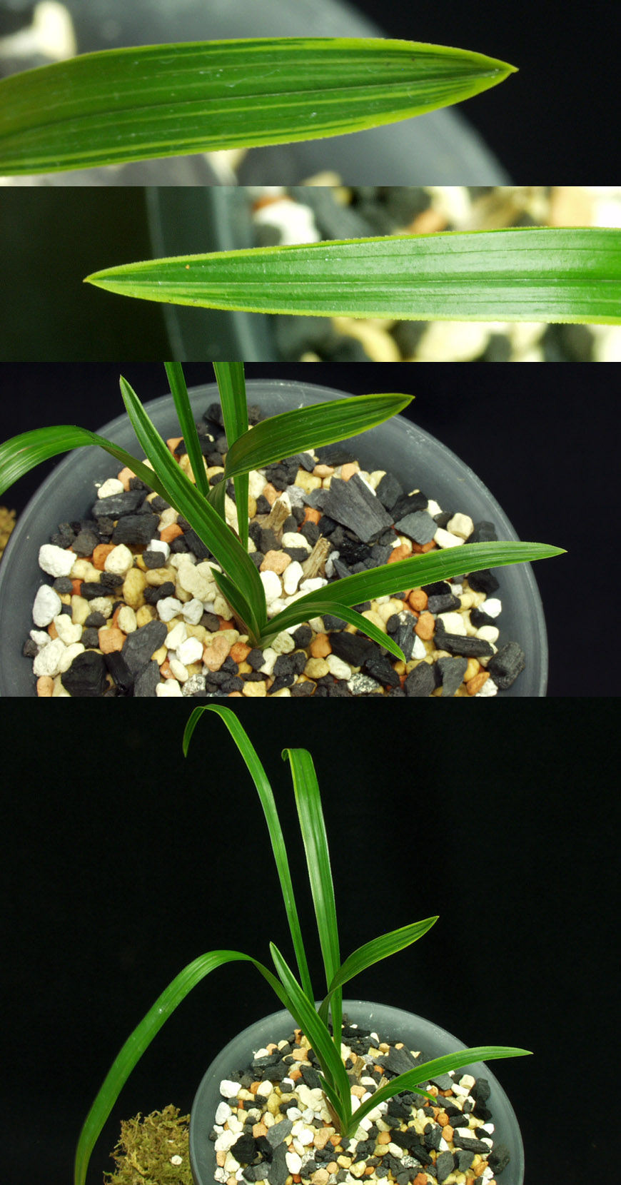 ������ ū������ �� �� �ֽ��ϴ�.